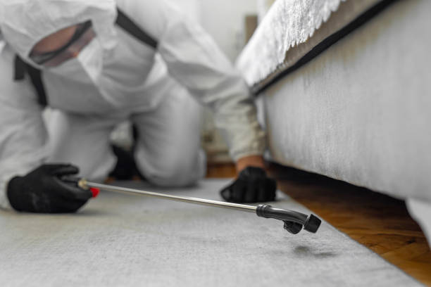 Professional Cockroach Control technician working in Faith, NC